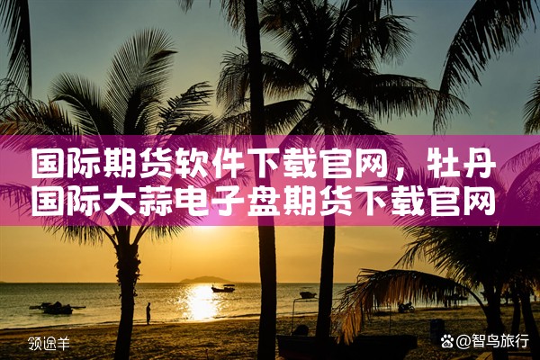 国际期货软件下载官网