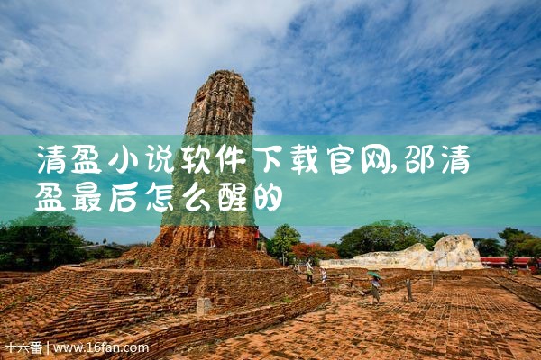 清盈小说软件下载官网