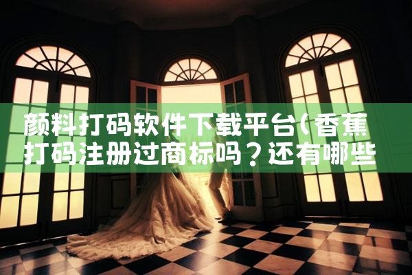 颜料打码软件下载平台