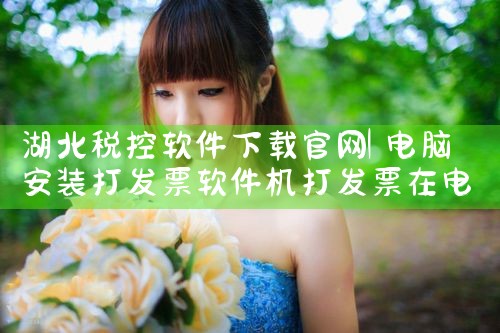 湖北税控软件下载官网