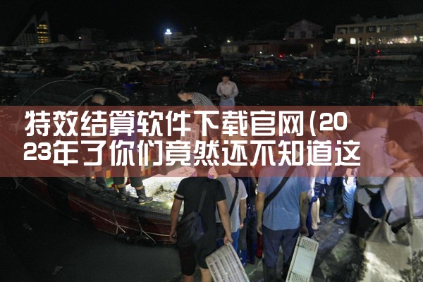 特效结算软件下载官网