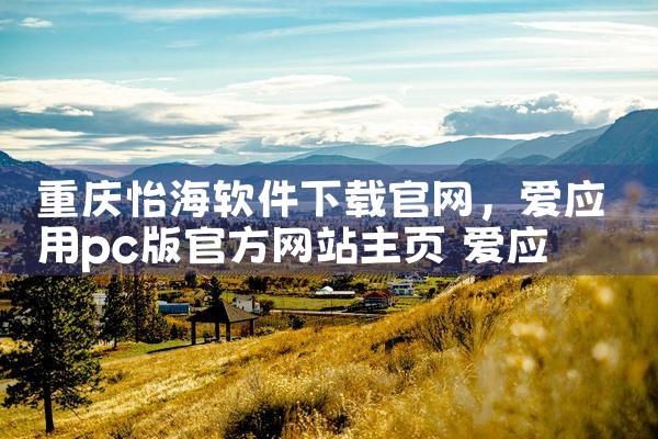 重庆怡海软件下载官网
