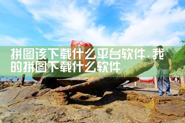 拼图该下载什么平台软件