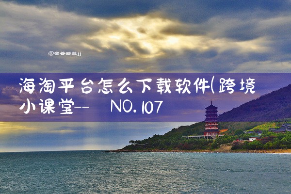 海淘平台怎么下载软件